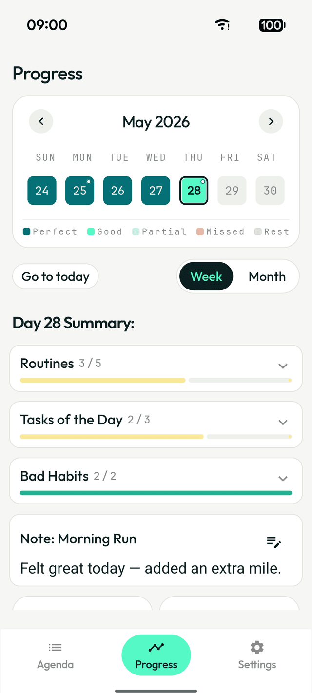 Steady's progress calendar with color-coded days and a daily summary breaking down routines, tasks, and habits.