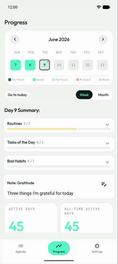 Steady's progress calendar in motion: color-coded days and a daily summary of routines, tasks, and habits.